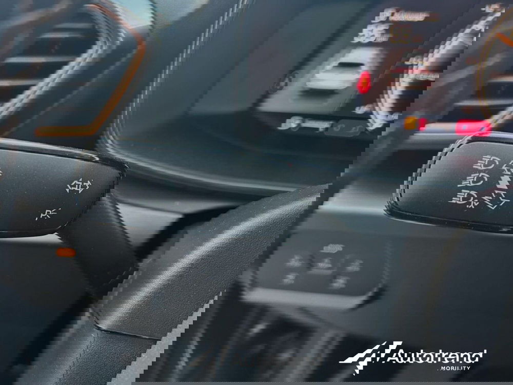 Cupra Formentor usata a Bari (11)