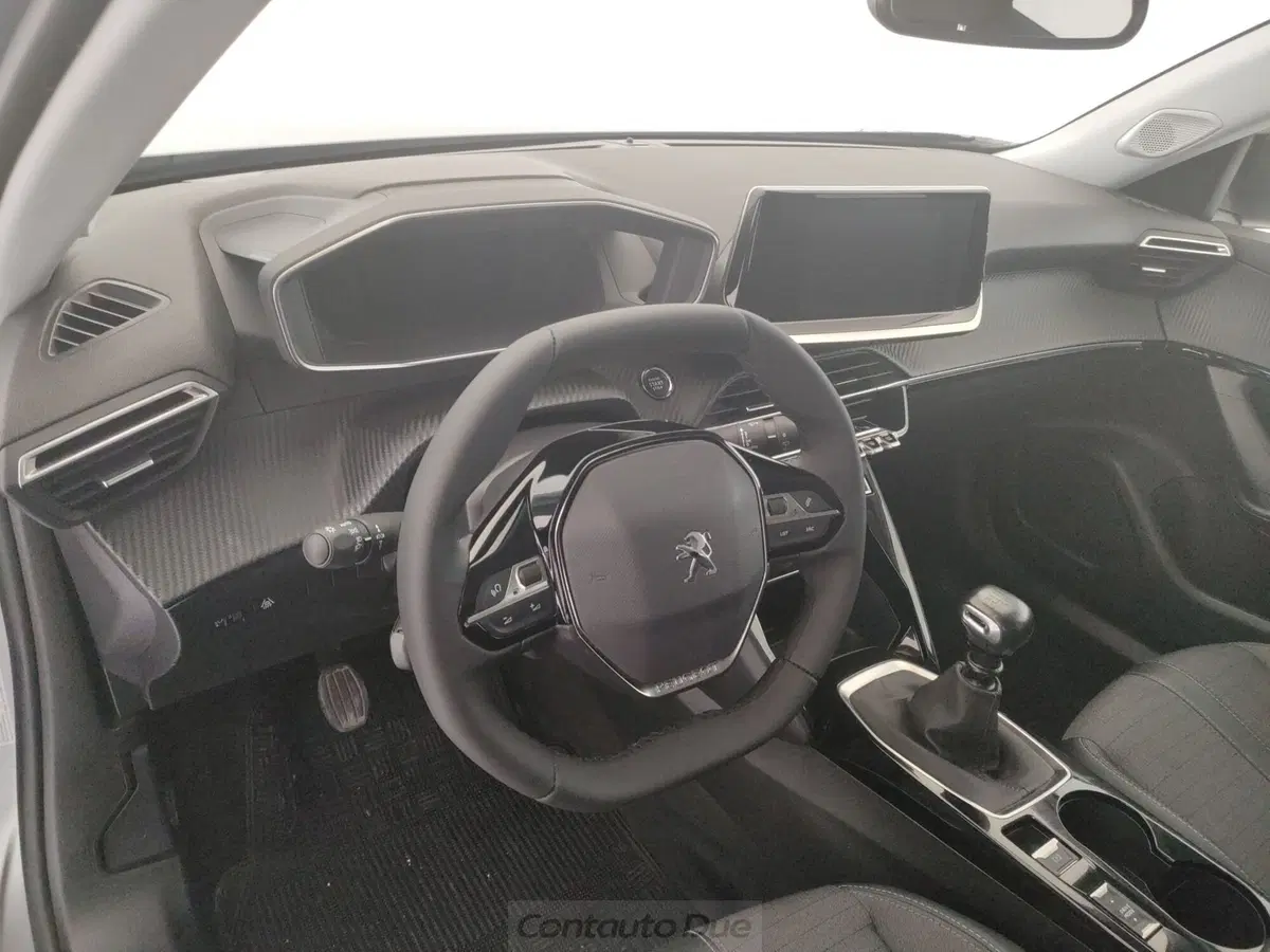 Peugeot 2008 usata a Caserta (18)