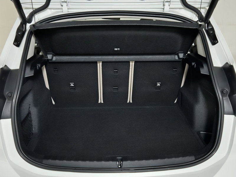 BMW Serie 2 Active Tourer usata a Torino (13)