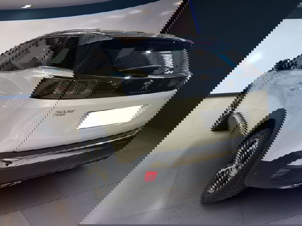 Peugeot 3008 usata a Torino (3)