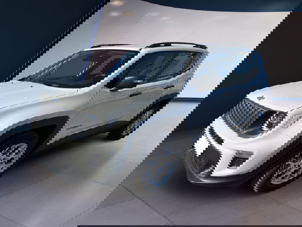 Jeep Renegade usata a Torino (3)