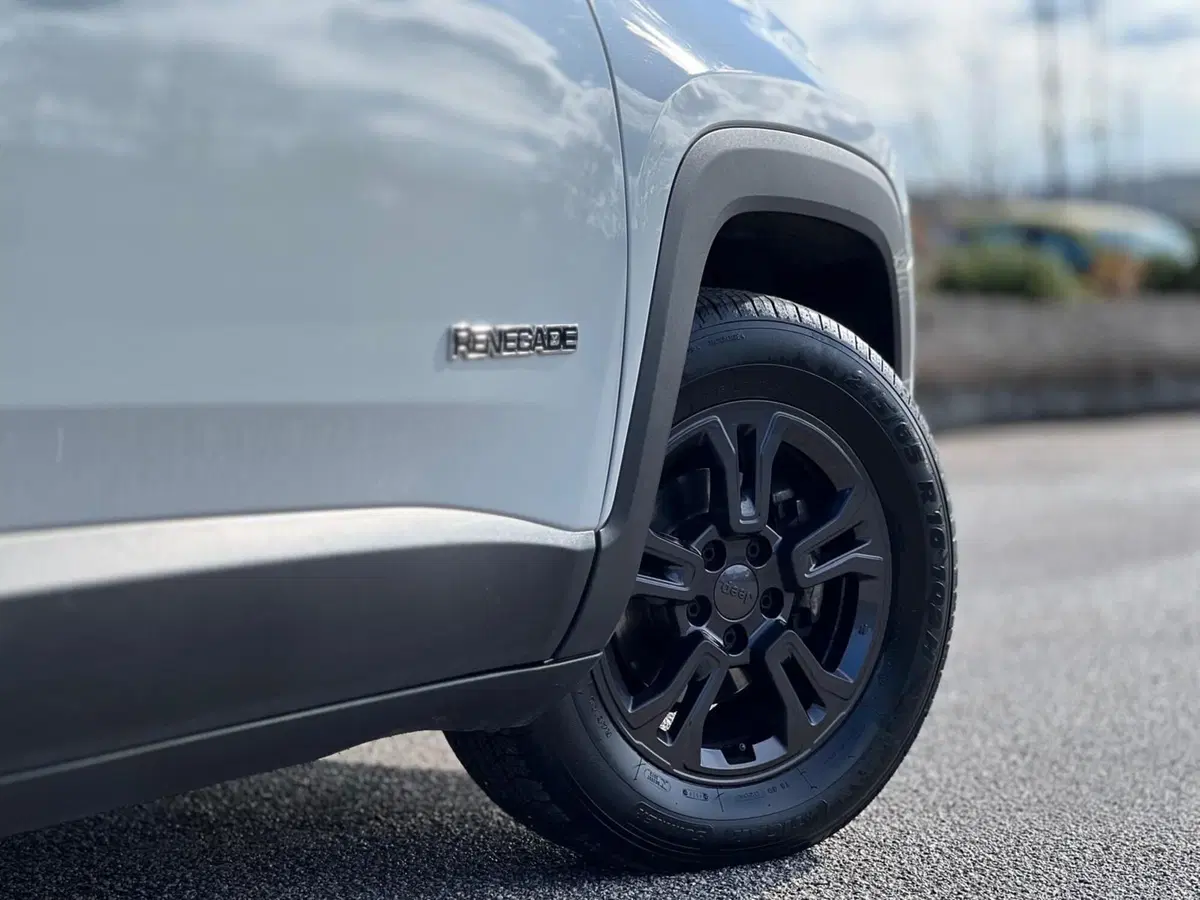 Jeep Renegade usata a Matera (14)