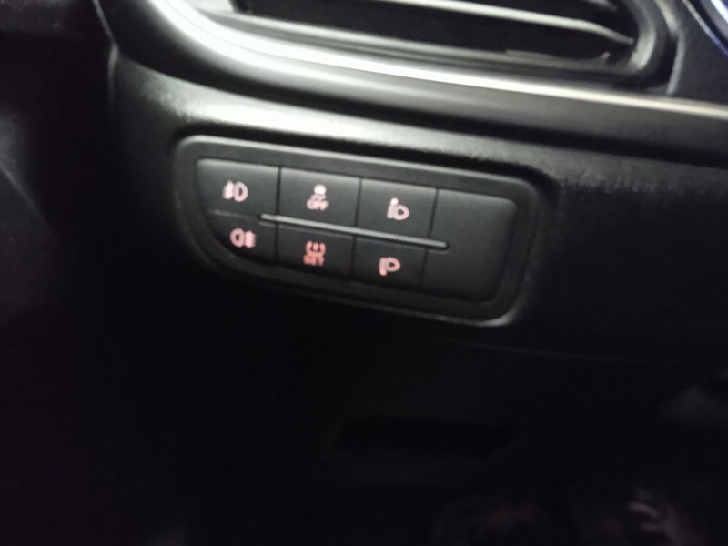 Fiat Tipo Station Wagon usata a Torino (9)