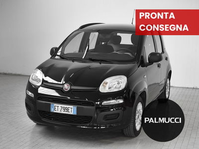 Fiat Panda 1.2 Easy del 2014 usata a Prato