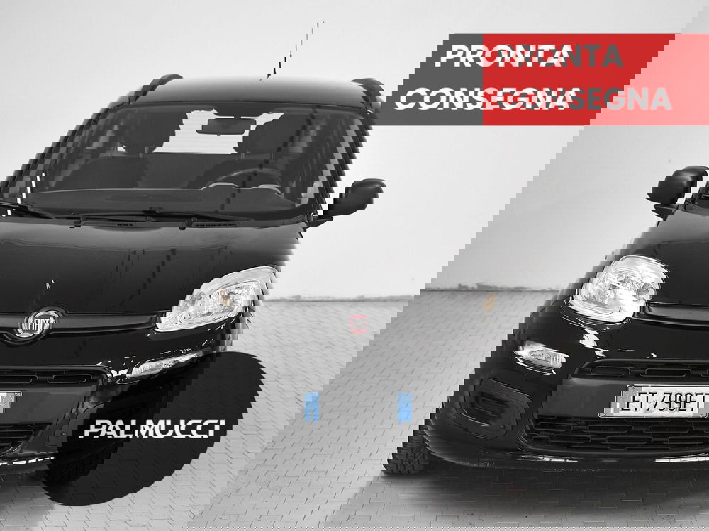 Fiat Panda usata a Prato (2)