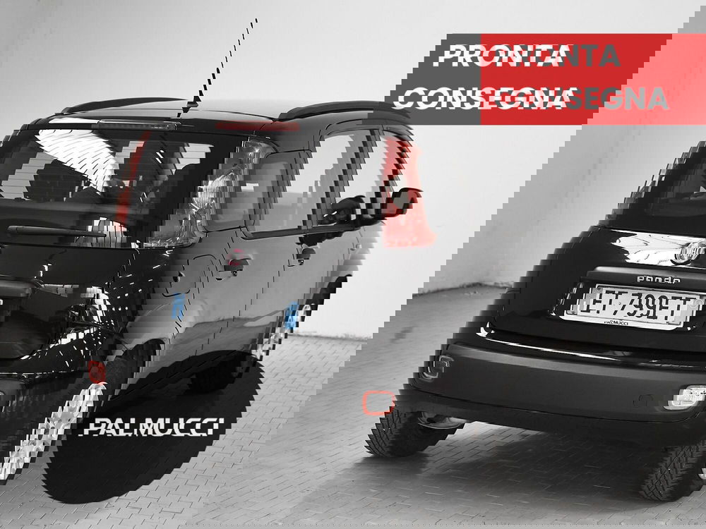 Fiat Panda usata a Prato (3)