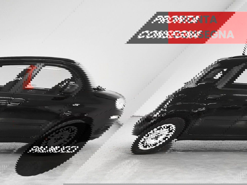 Fiat Panda usata a Prato (4)