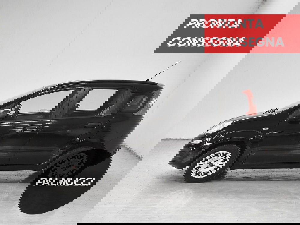 Fiat Panda usata a Prato (5)