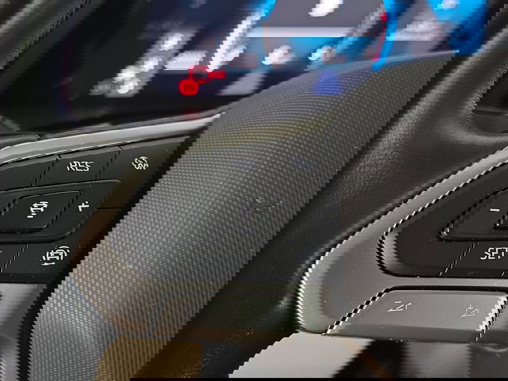 Volkswagen Multivan usata a Alessandria (20)