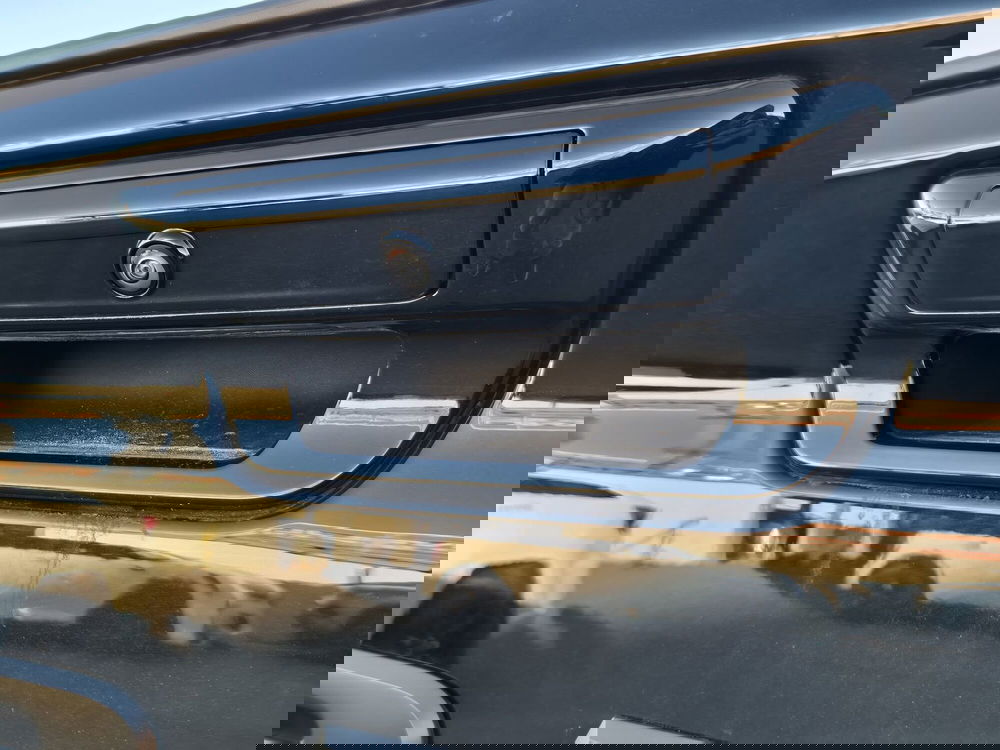 Ram Ram Pick-up nuova a Torino (18)