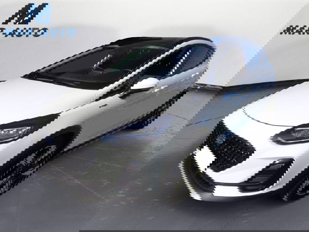 Ford Fiesta usata a Treviso