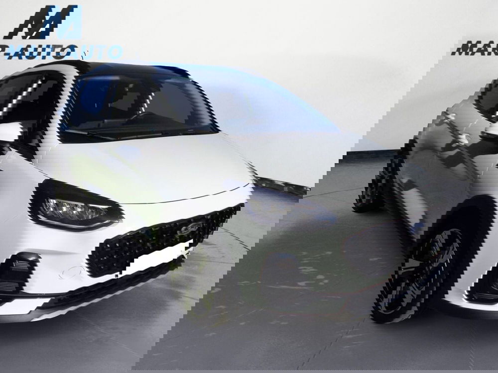 Ford Fiesta usata a Treviso (4)