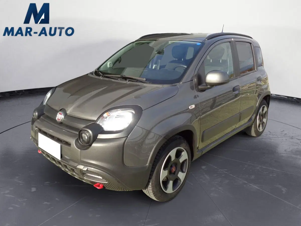 Fiat Panda Cross usata a Treviso
