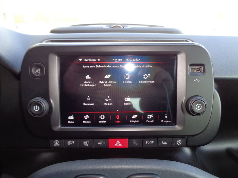 Fiat Panda Cross usata a Treviso (14)