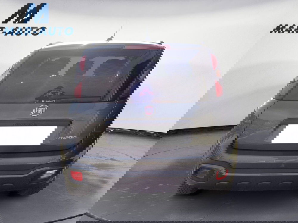 Fiat Panda Cross usata a Treviso (18)