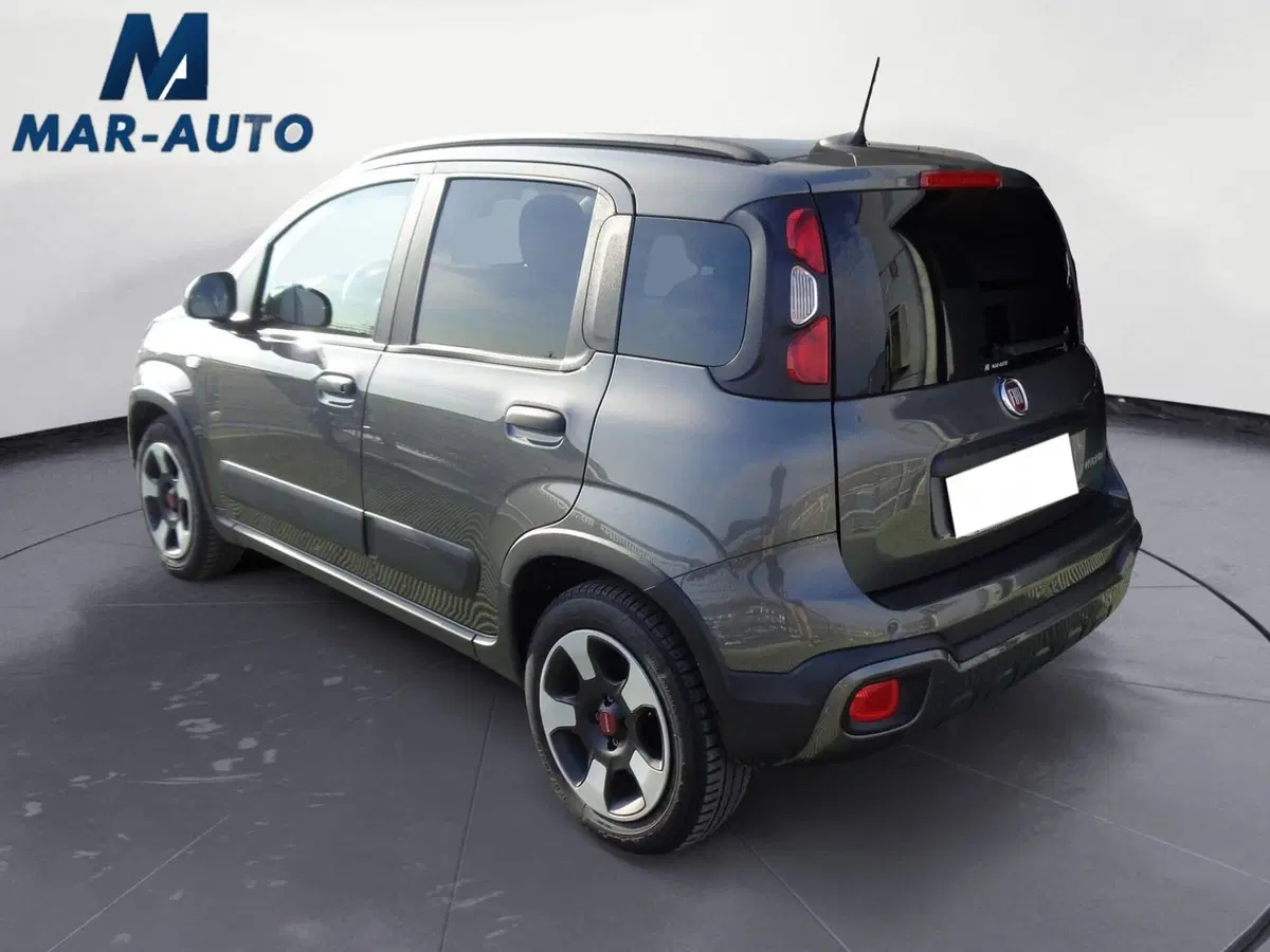 Fiat Panda Cross usata a Treviso (2)