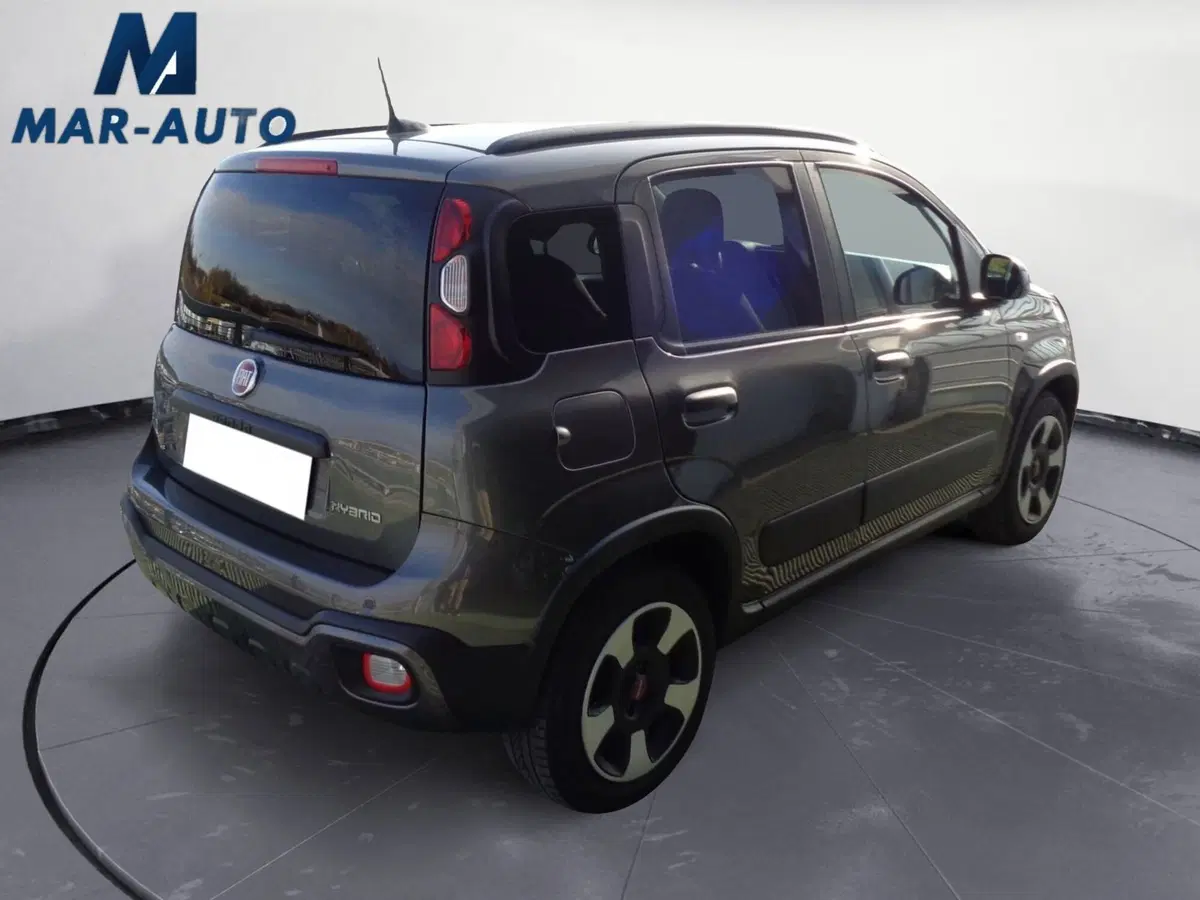 Fiat Panda Cross usata a Treviso (3)