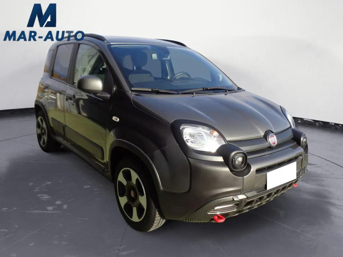 Fiat Panda Cross usata a Treviso (4)