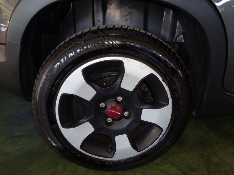 Fiat Panda Cross usata a Treviso (6)