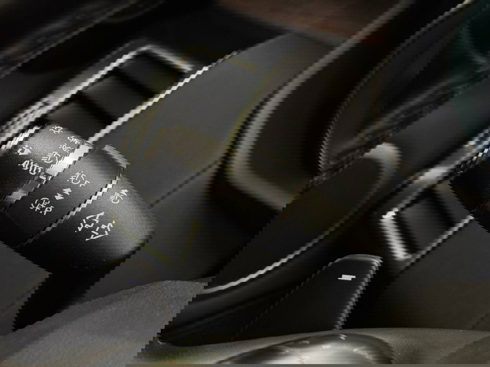 Land Rover Discovery Sport usata a Savona (20)