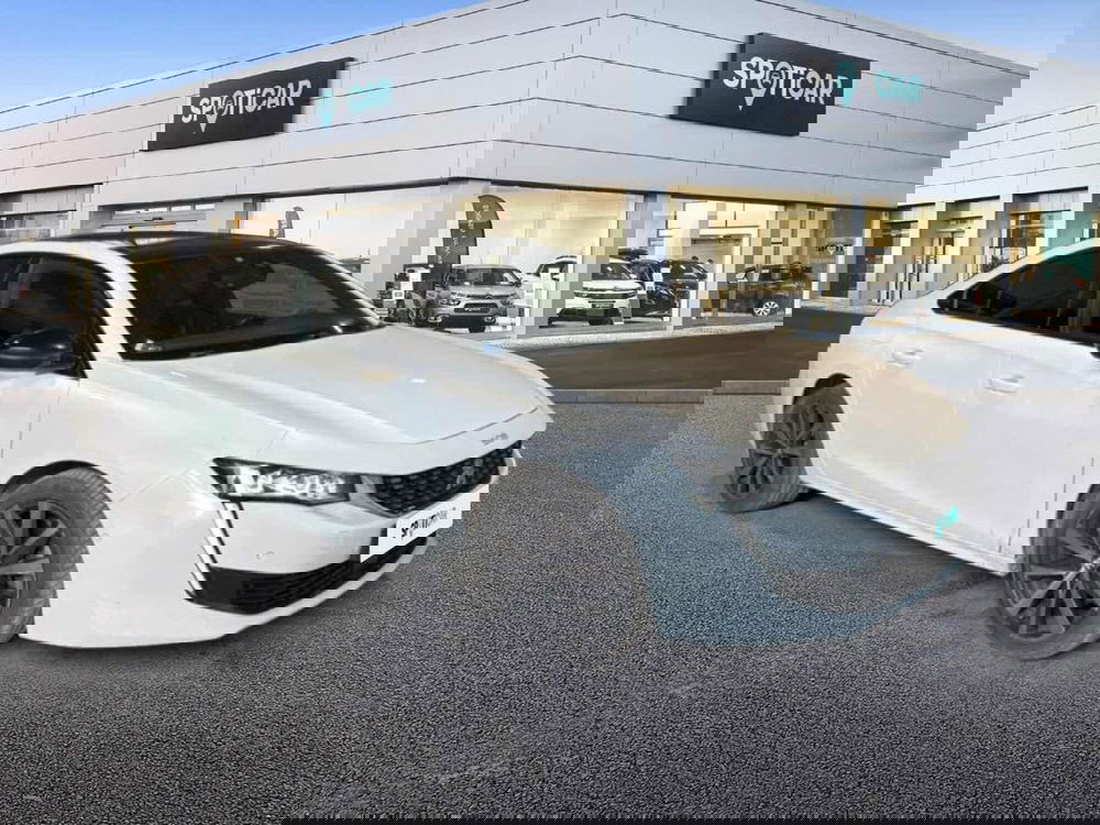 Peugeot 508 usata a Foggia (7)