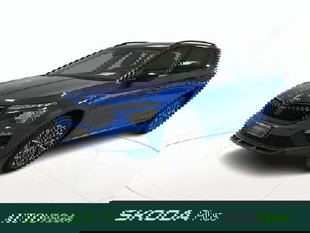 Skoda Kamiq usata a Vicenza