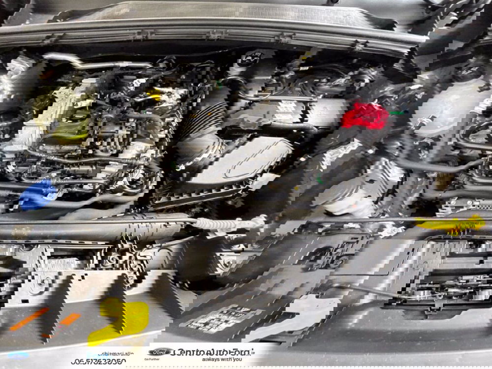 Ford Puma usata a Roma (12)