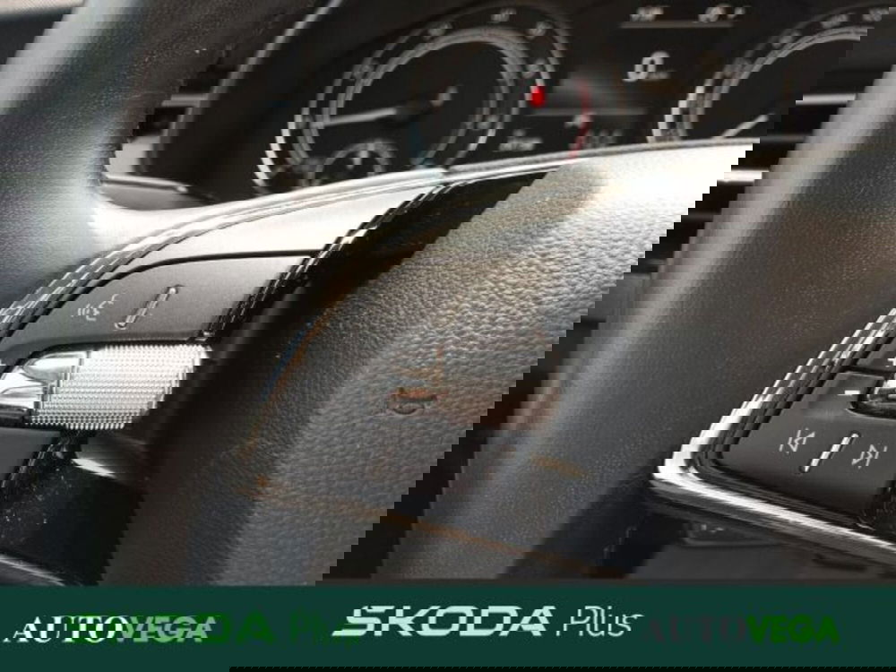 Skoda Kamiq usata a Vicenza (10)