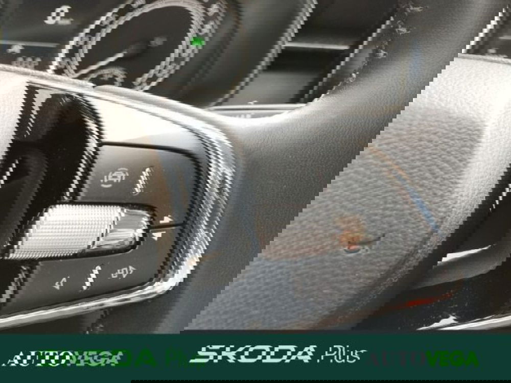 Skoda Kamiq usata a Vicenza (11)