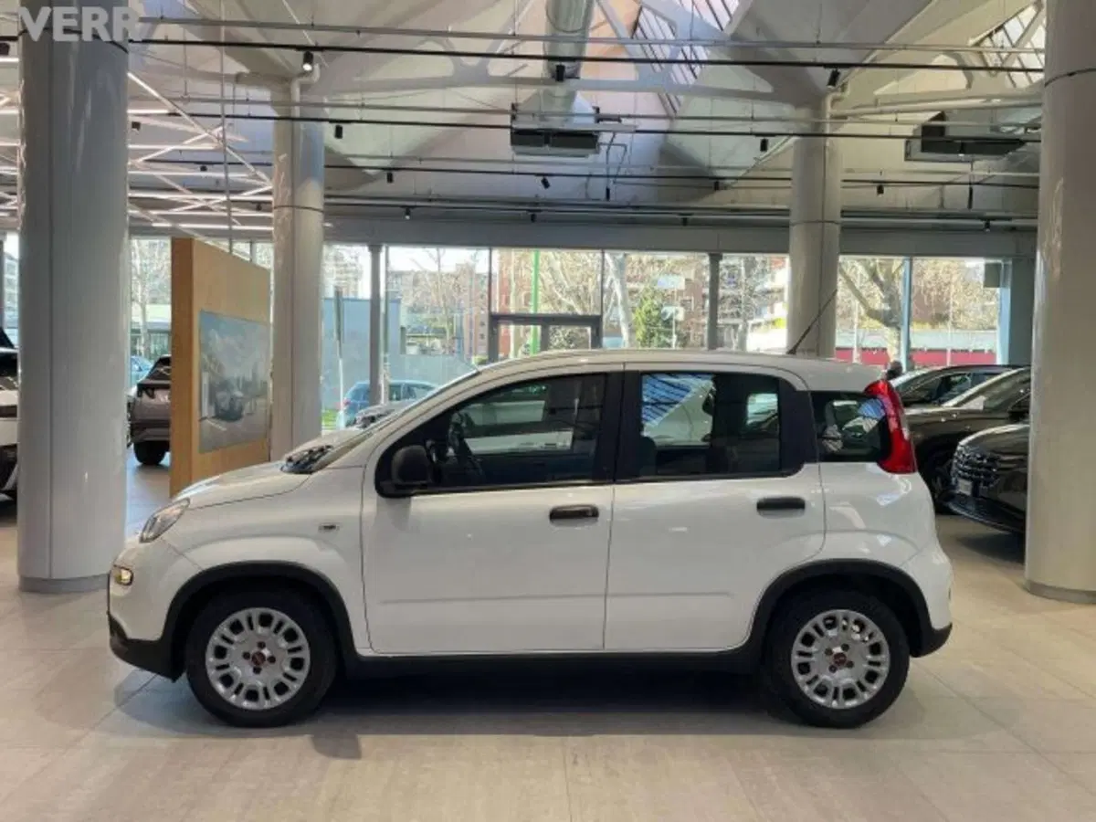 Fiat Panda usata a Milano (5)