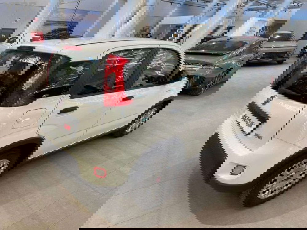 Fiat Panda usata a Milano (6)