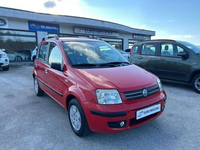 Fiat Panda 1.2 Dynamic del 2004 usata a Campodipietra