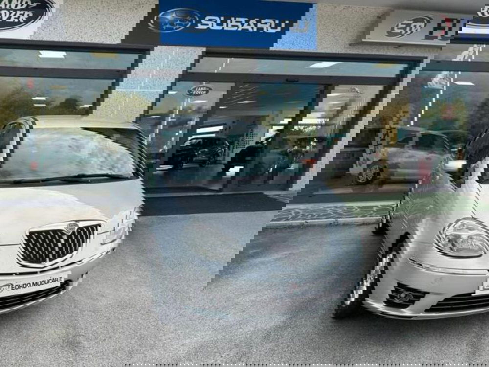 Lancia Musa usata a Campobasso (3)