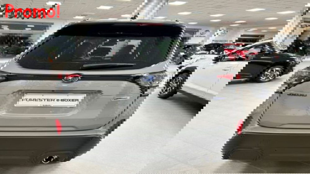 Subaru Forester nuova a Campobasso (10)