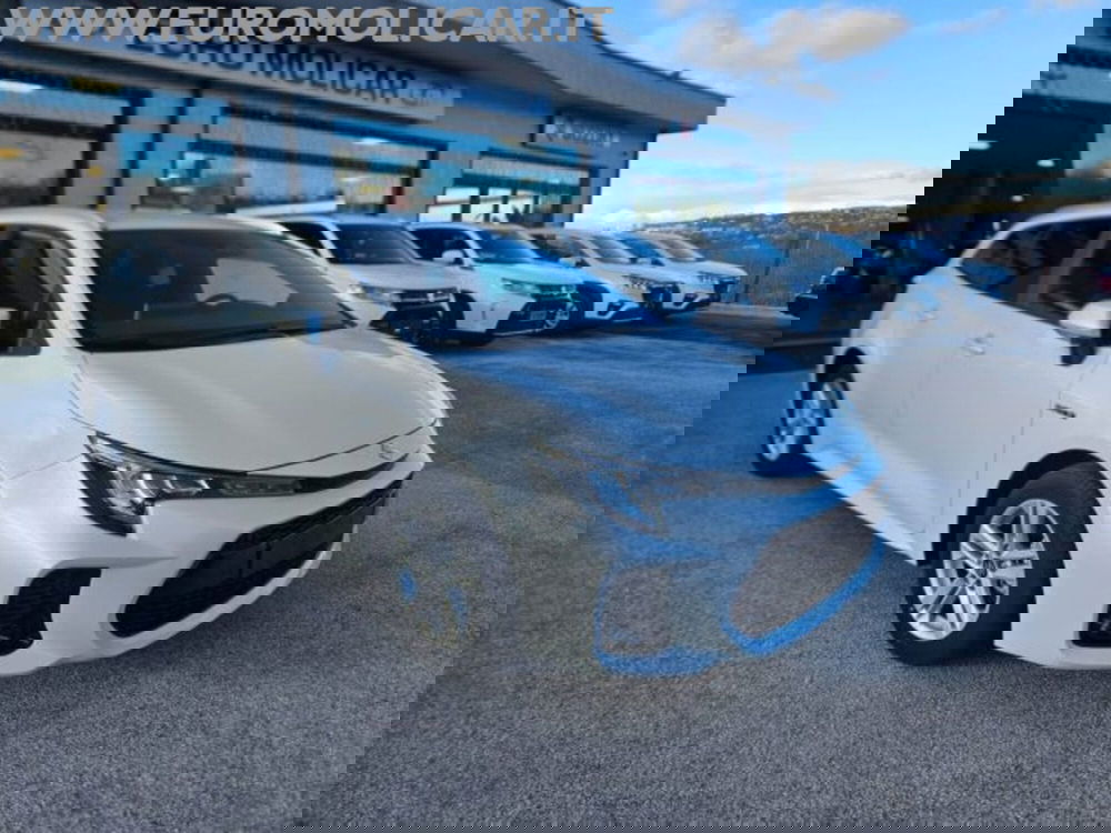 Suzuki Swace nuova a Campobasso (9)