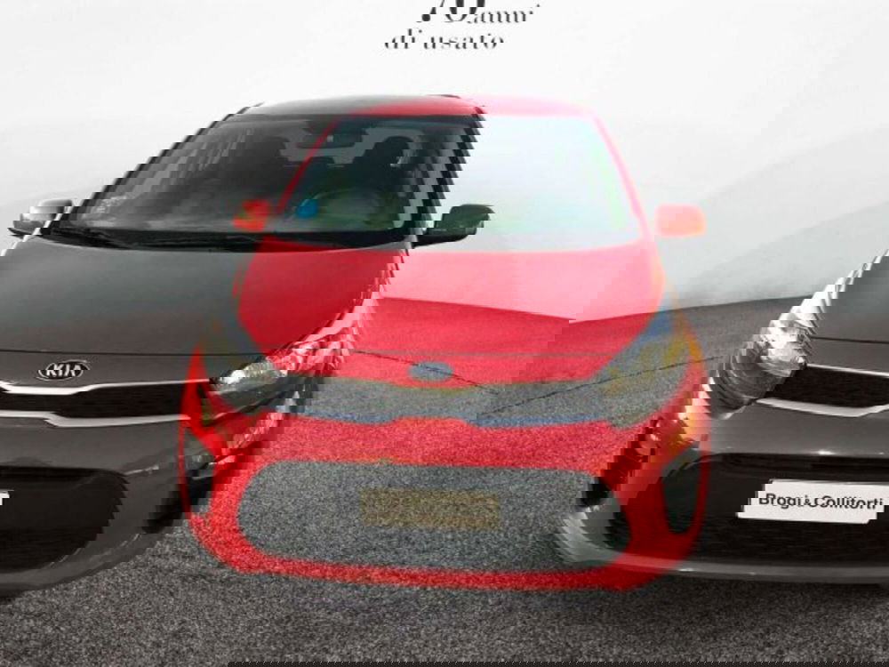 Kia Picanto usata a Firenze (2)