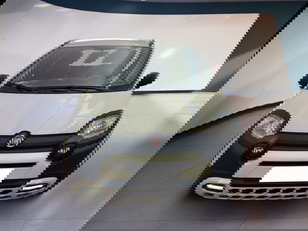 Fiat Panda usata a Torino