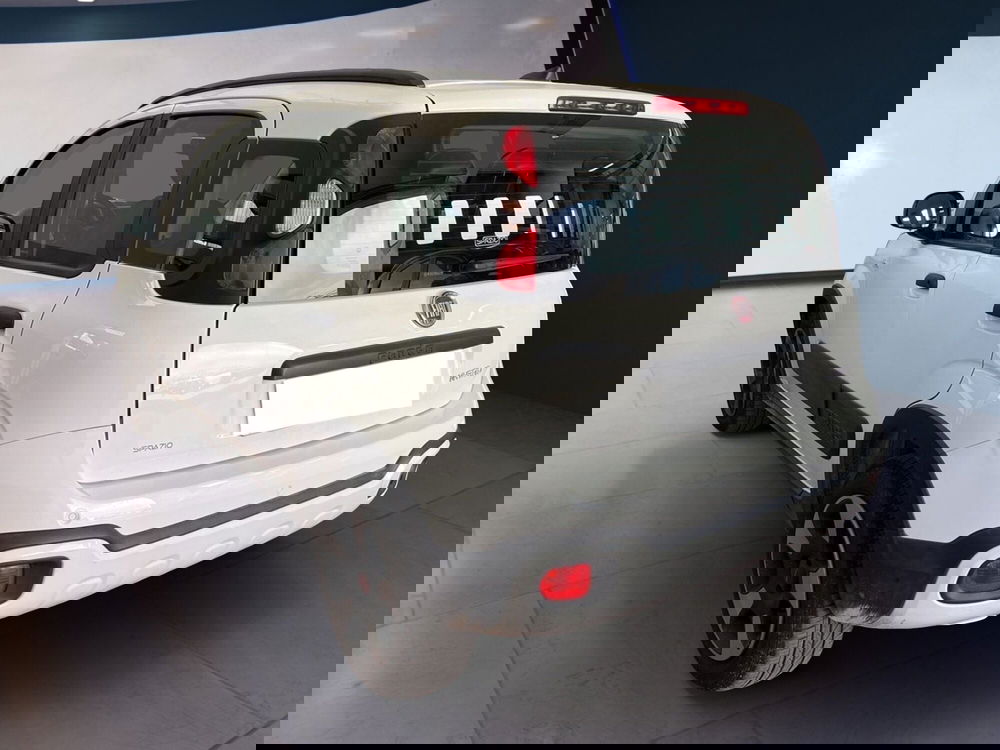 Fiat Panda usata a Torino (6)