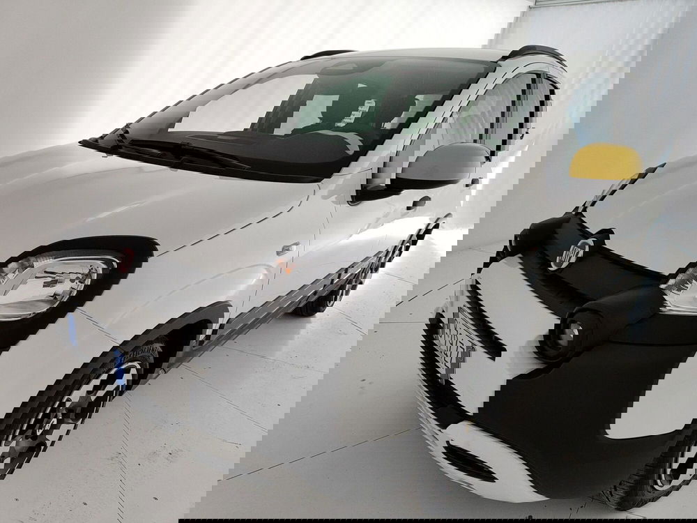 Fiat Panda usata a Caserta (13)