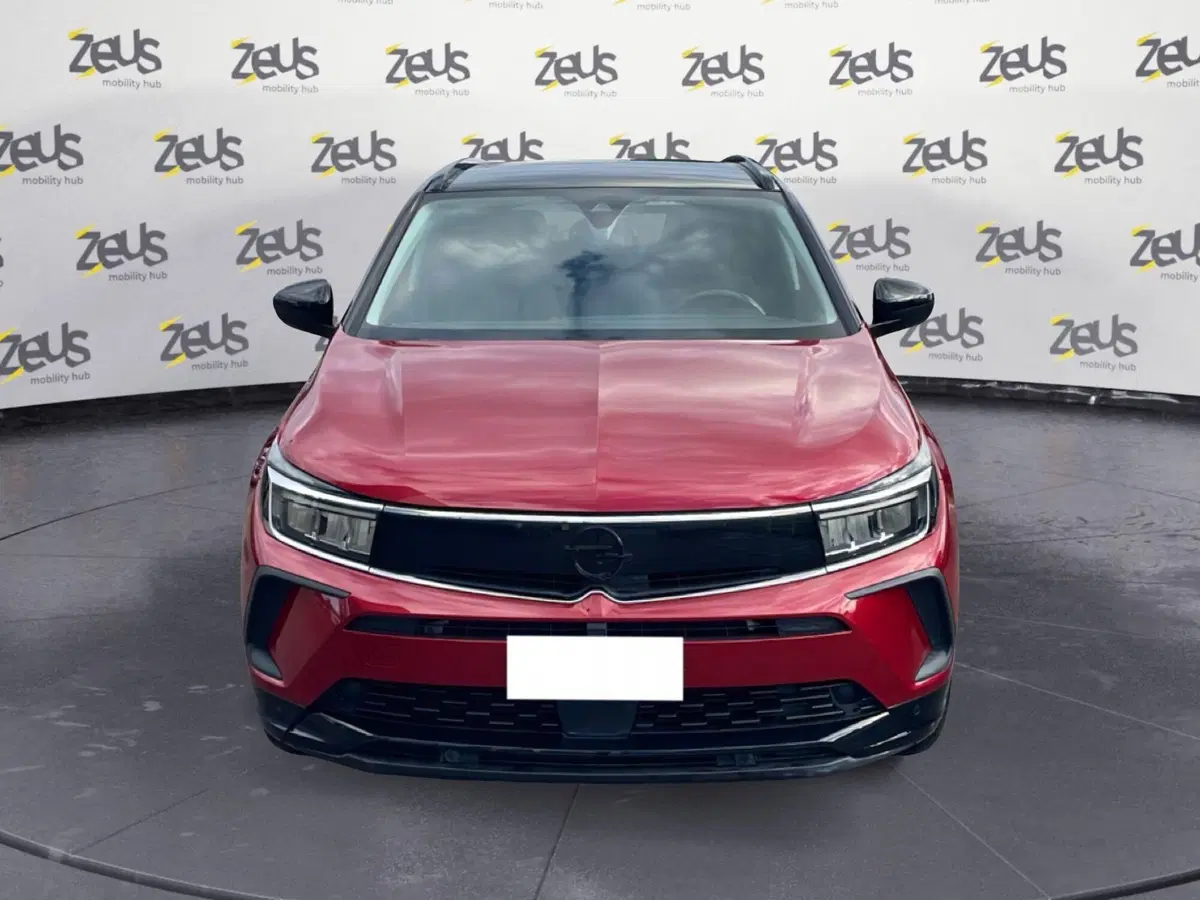 Opel Grandland usata a Bologna (2)