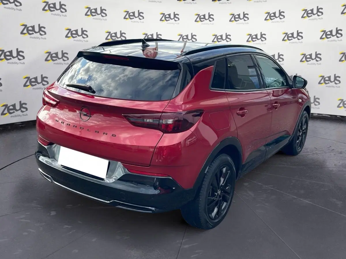 Opel Grandland usata a Bologna (6)