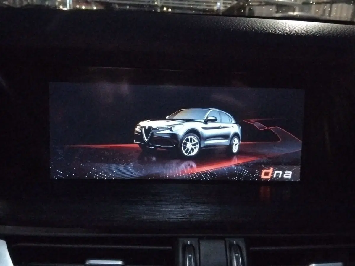 Alfa Romeo Stelvio usata a Pescara (19)