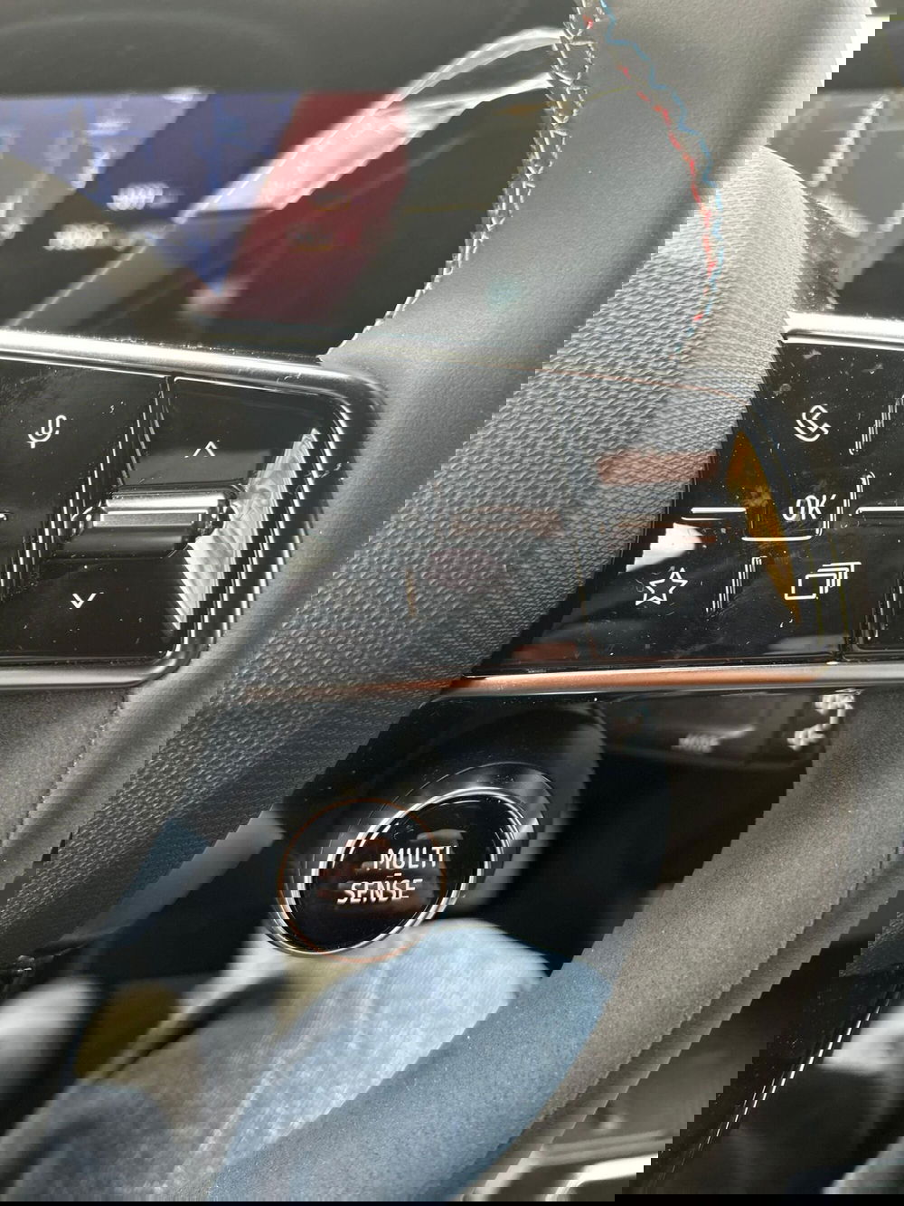 Renault Clio usata a Firenze (14)