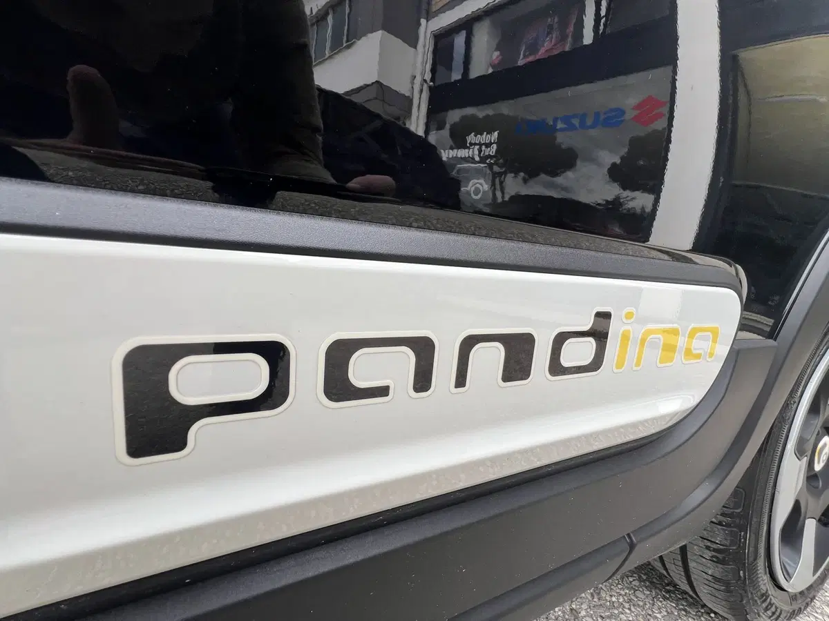 Fiat Panda Cross usata a Teramo (5)