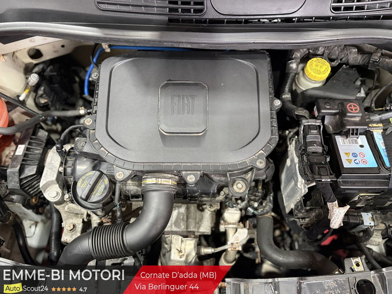 Fiat Panda Cross usata a Monza e Brianza (13)