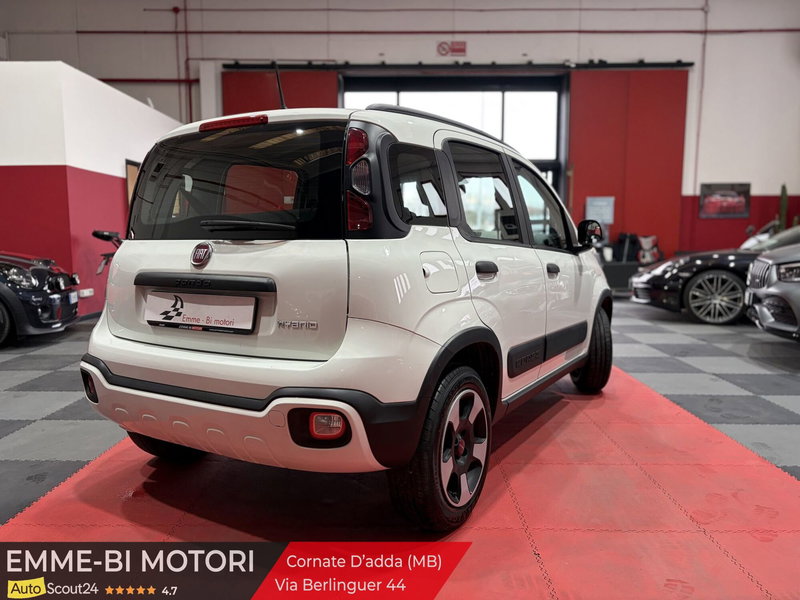 Fiat Panda Cross usata a Monza e Brianza (2)
