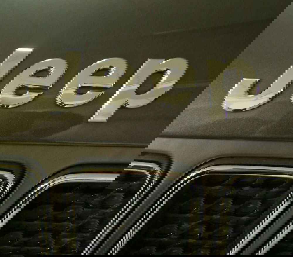 Jeep Renegade usata a Terni (20)