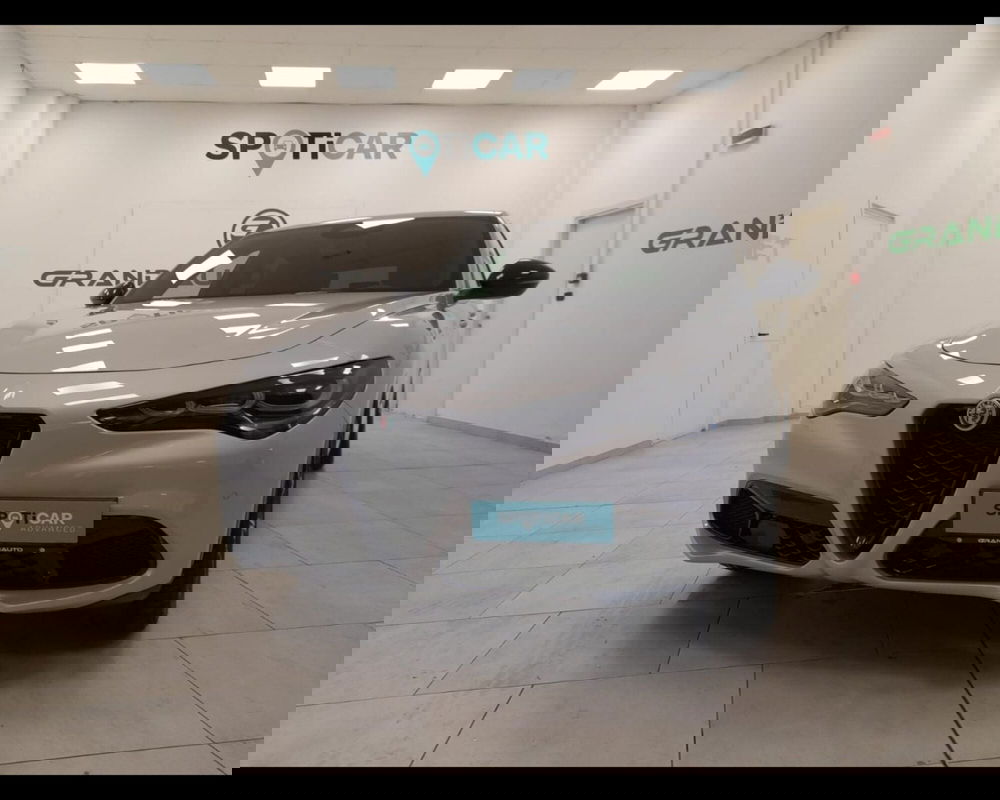 Alfa Romeo Stelvio usata a Alessandria (2)