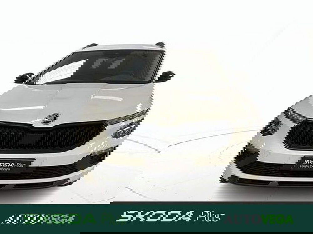 Skoda Kamiq usata a Vicenza (2)