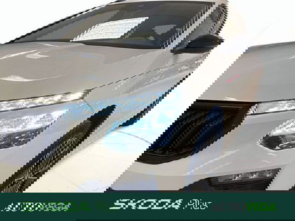 Skoda Kamiq usata a Vicenza (20)